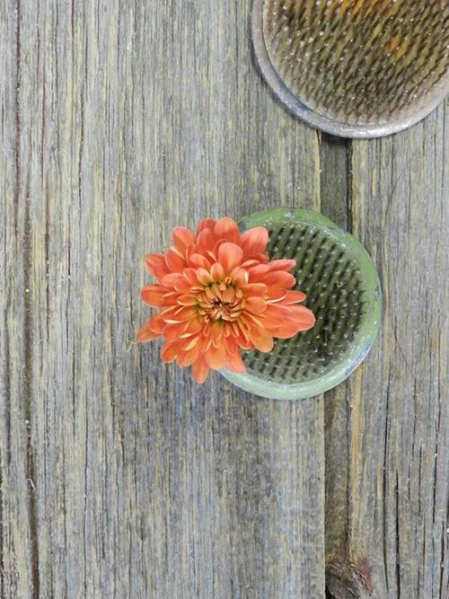 DRUM CUSHION  BRONZE POMPONS
